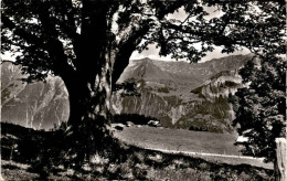 Axalp (1424) * 20. 9. 1960 - Brienz