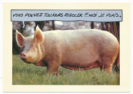 CPM 10.5 X 15   Le Cochon  "Vous Pouvez Toujours Rigoler !!! Moi, Je Plais.  Porc - Other & Unclassified