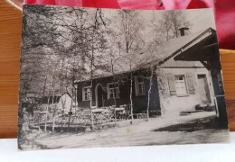 AK "Sächsische Schweiz, Gasthof Steinerner Tisch" Schöne Alte Postkarte Sachsen, Tolle Ansicht DDR  Sächsische Schweiz - Bastei (sächs. Schweiz)