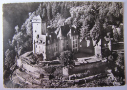 FRANCE - CANTAL - POLMINHAC - Château Du Pesteil - Autres & Non Classés