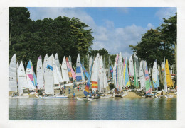 CPM - GRAND FORMAT 1 - MORBIHAN - GOLFE DU MORBIHAN - CATAGOLFE CREDIT AGRICOLE - VOILIERS - VOILE - Otros & Sin Clasificación