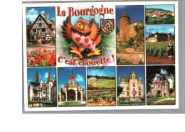 BOURGOGNE - Région Le Pays Des Grands Crus C'est Chouette Hibou Illustration Owl - Bourgogne