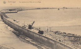 Belgique   Zeebrugge Vue Générale Du Môle Et De La Rade - Zeebrugge