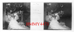 Environs D'Allevard - Rue D'un Village - Plaque De Verre En Stéréo - Taille 44 X 107 Mlls - Glass Slides