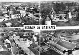 45-SCEAUX-DU-GATINAIS - MULTIVUES - Autres & Non Classés