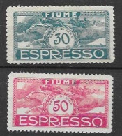 Fiume Mh * / (*)  1920 (100 Euros) Express Stamps - Andere-Europa