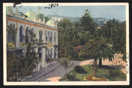 CPA Algier, Palais Avec Palmen  - Algiers