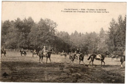 Château De Nexon  Promenade Des Chevaux De Courses Dans Le Parc - Altri & Non Classificati