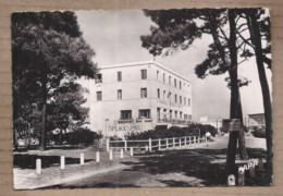 CPSM 66 - ARGELES SUR MER - Grand Hotel De La Plage Des Pins - TB PLAN Etablissement Devanture Petite Animation 1952 - Argeles Sur Mer