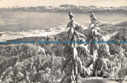 R156774 Blick Vom Uto Kulm Gegen Die Alpen. Photoglob - Monde