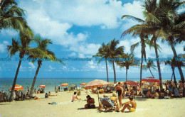 R156384 A Lovely Florida Beach. Coconut Palms Against A Lush Blue Tropical Sky S - World