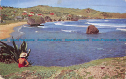 R156390 Bathsheba East Coast. Barbados. 1956 - World