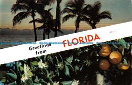 R156419 Greetings From Florida. Koppel. 1975 - Monde