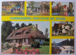 FRANCE - NORMANDIE - Douceur De Vivre - Other & Unclassified