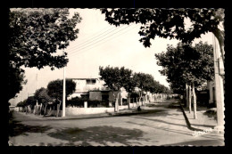 ALGERIE - HUSSEIN-DEY - QUARTIER LEVEILLEY - RUE COURLY - Autres & Non Classés