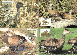 Bahamas - 4 Maximum Cards 1988 : West Indian Whistling Duck    Dendrocygna Arborea - Canards