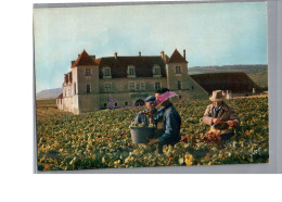 VOUGEOT 21 - La Confrérie Des Chevaliers Du Tastevin Vendanges Devant Le Château Raisin Vigne - Other & Unclassified