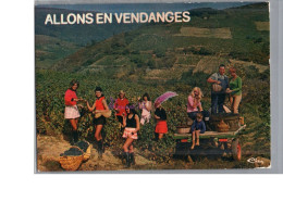 BOURGOGNE - Allons En Vendanges Humour Femme Mini Jupe Sexy Dans Les Champs Enfant Famille - Sonstige & Ohne Zuordnung