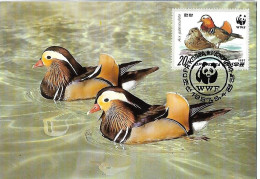 North Korea (DPR) - Maximum Card 1987 : Mandarin Duck   - Aix Galericulata - Entenvögel