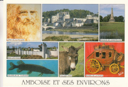 France Amboise Et Ses Environs - Amboise