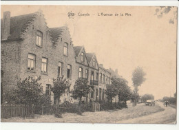 Belgique - KOKSIJDE  L'Avenue De La Mer - Koksijde