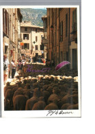 LE BUIS LES BARONNIES 26 - La Transhumance Descend La Grande Rue Troupeau De Mouton Blanc Sheep - Buis-les-Baronnies