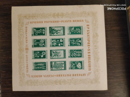 1953	Bulgaria	Flowers 29 - Unused Stamps