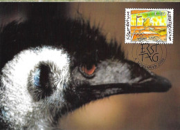 Liechtenstein  - Maximum Card 2000 : Emu (Dromaius Novaehollandiae) - Autres & Non Classés