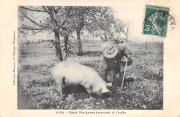 FRANCE - Deux Perigords Trouvant La Truffe - Cochon Truffier - Animé - Carte Postale Ancienne - Otros & Sin Clasificación