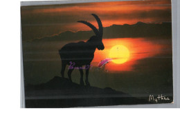 ANIMAUX - Un Bouquetin Capra Ibex Au Coucher Du Soleil Carte Vierge - Otros & Sin Clasificación