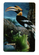 Oiseau  Bird Télécarte Thaïlande Hornbill Phonecard  (W 717) - Tailandia