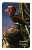 Oiseau  Bird Télécarte Thaïlande Hornbill Phonecard  (W 718) - Thailand