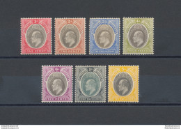 1904  Southern Nigeria , SG 21/31 Edoardo VII°, Not Completely Set , ML* - Autres & Non Classés