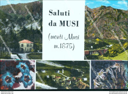 Cc347 Cartolina Saluti Da Musi Provincia Di Udine Friuli Venezia Giulia - Udine