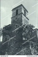 Cc336 Cartolina Toro Torre Campanaria Provincia Di Campobasso Molise - Campobasso