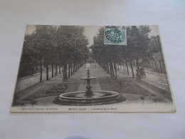 MONTLUCON ( 03 Allier ) L AVENUE DE LA GARE  ANIMEES  ATTELAGE 1906 FONTAINE AU 1er PLAN - Montlucon