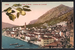 Cartolina Limone, Panorama Con Limoneti, Zitronengärtchen  - Altri & Non Classificati