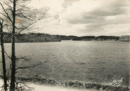 19 SAINT PARDOUX LA CROISILLE ETANG FERRIER - Sonstige & Ohne Zuordnung