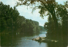 59 LE QUESNOY ETANG DU PONT ROUGE - Le Quesnoy