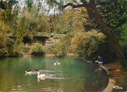 59 CAMBRAI JARDIN PUBLIC - Cambrai