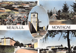 69-MEAUX-MONTAGNE- MULTIVUES - Autres & Non Classés