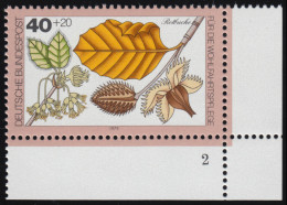 1024 Bäume 40+20 Pf Rotbuche ** FN2 - Unused Stamps