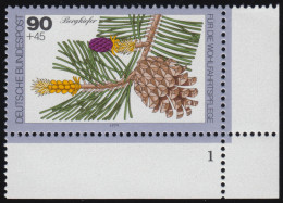 1027 Bäume 90+45 Pf Bergkiefer ** FN1 - Unused Stamps