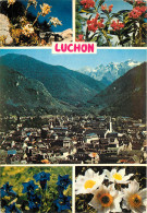 31 LUCHON MULTIVUES - Luchon