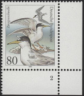 1540 Seevögel 80 Pf Zwergseeschwalbe ** FN2 - Nuevos