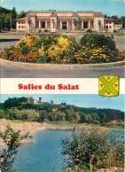 31 SALIES DU SALAT MULTIVUES BLASON - Salies-du-Salat