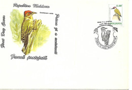 Moldova - First Day Cover FDC 1993 :  European Green Woodpecker  -  Picus Viridis - Specht- & Bartvögel