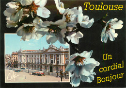 31 TOULOUSE UN CORDIAL BONJOUR - Toulouse