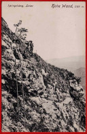 Hohe Wand, 1135 M. Springelsteig, Leiter.1912 - Other & Unclassified