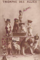 TRIOMPHE DES ALLIES        CHIENS     MORINET - Patriotiques